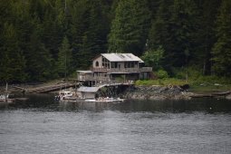 Pennock Island Pictures