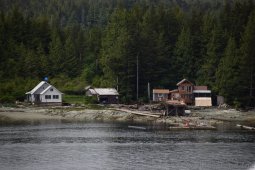 Tree Logs and Homes on Pennock Island Ketchikan Alaska
