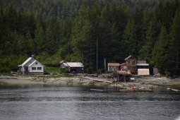 Tree Logs and Homes on Pennock Island Ketchikan Alaska