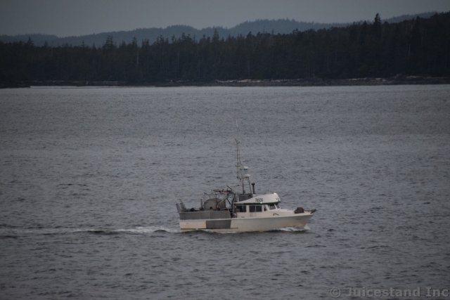 Fishing Boat 74509 in Waters Near Ketchikan Alaska