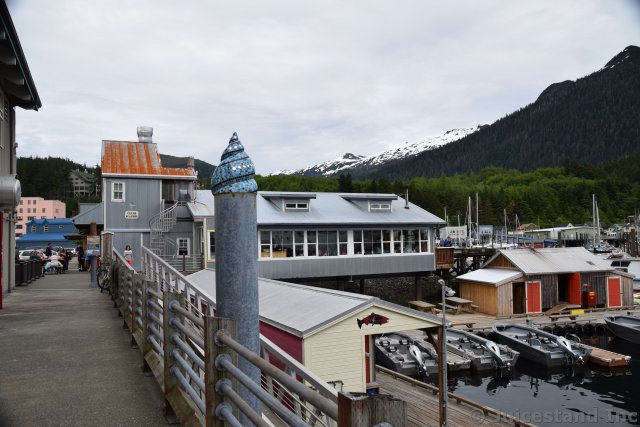 Hermit Crab Shell Art at Salmon Landing Ketchikan Alaska