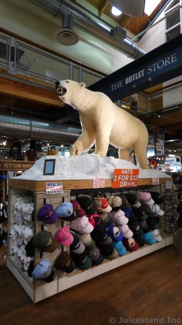 Polar Bear Inside Ketchikan Mining Co Outlet
