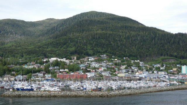 Tree Lined Hill Behind Ketchikan Alaska