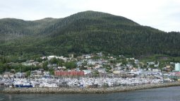 Tree Lined Hill Behind Ketchikan Alaska