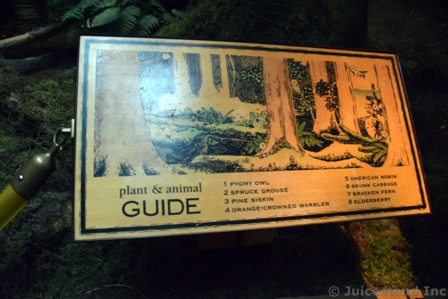 Additional Plants & Animals Guide of Alaska Rain Forest Exhibit