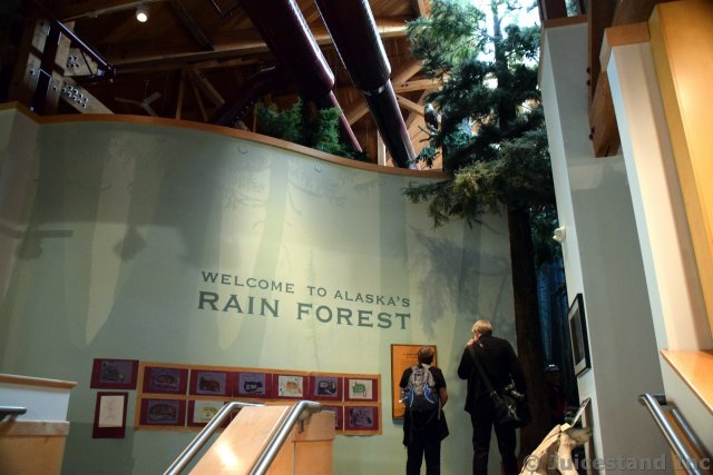 Entrance to Alaska's Rain Forest Exhibit in Ketchikan Tongass National Park Museum
