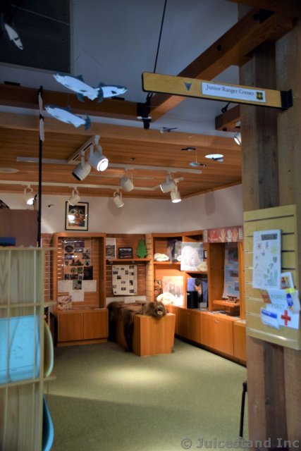 Ketchikan Tongass National Park Museum Junior Ranger Corner
