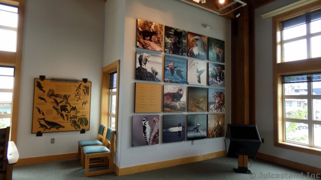 Photos and Murals Inside Ketchikan Tongass National Park Museum