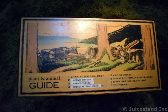 Plants & Animals Guide of Alaska Rain Forest Exhibit