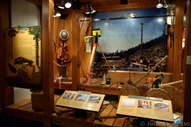 Tree Commercial Harvesting Exhibit at Ketchikan Tongass National Park Museum
