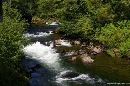 Creek in Ketchikan Creek Street area (2).jpg