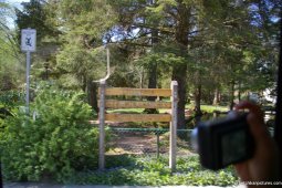 Ketchikan City Park.jpg