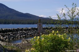 Ketchikan Leash Law Area sign.jpg