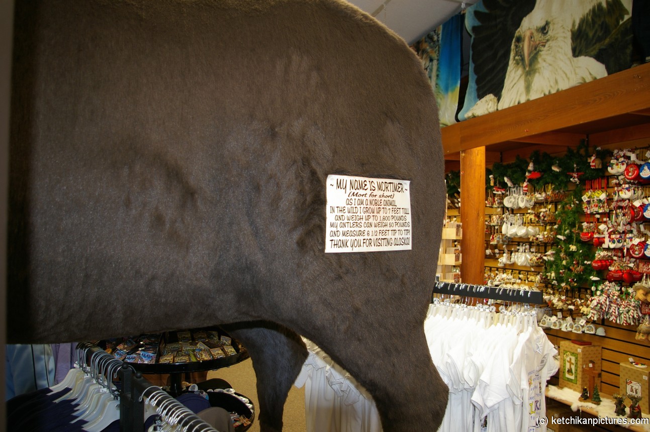 Mortimer the Moose in Ketchikan store.jpg
