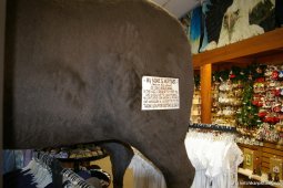 Mortimer the Moose in Ketchikan store.jpg
