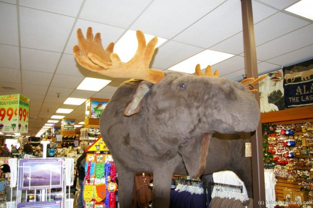 Mortimer the Moose in Ketchikan store (2).jpg
