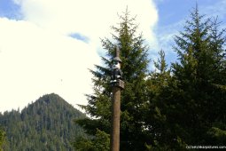 Ridicule totem pole in Ketchikan (2).jpg