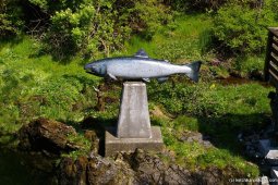 Salmon statue in Ketchikan Creek Street area.jpg