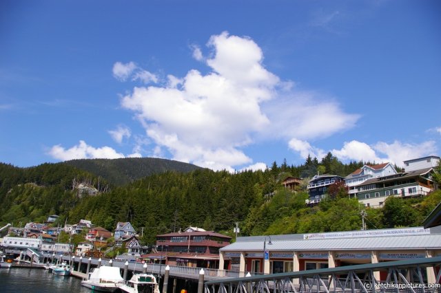 Tree lined hills of Ketchikan.jpg