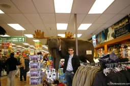 David and Moose statue in Ketchikan store.jpg
