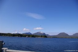 A small plane over the Ketchikan harbor.jpg